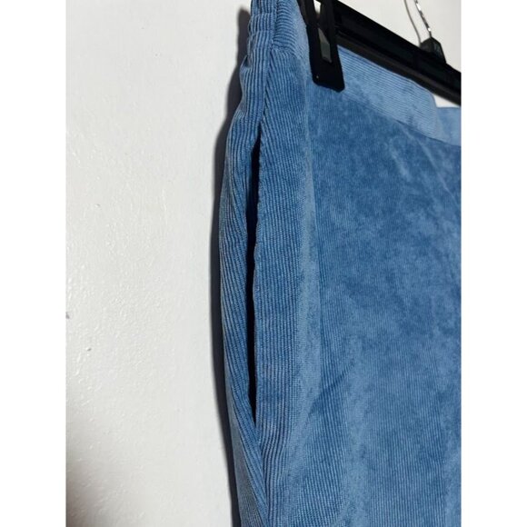 Alfred Dunner Womens Pants Powder Blue Corduroy Classic Fit Pull On Size 8P - Picture 3 of 16